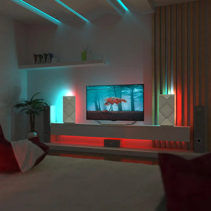 2 Pack WILDS-mini LED Panels with RGB Lamp – Desktop
